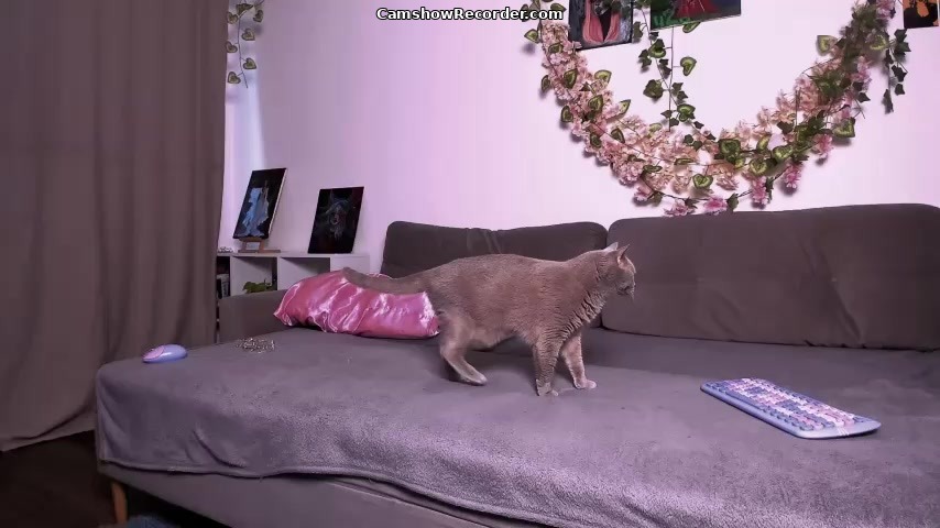 LadyTrep - Stripchat - 2026-07-19
